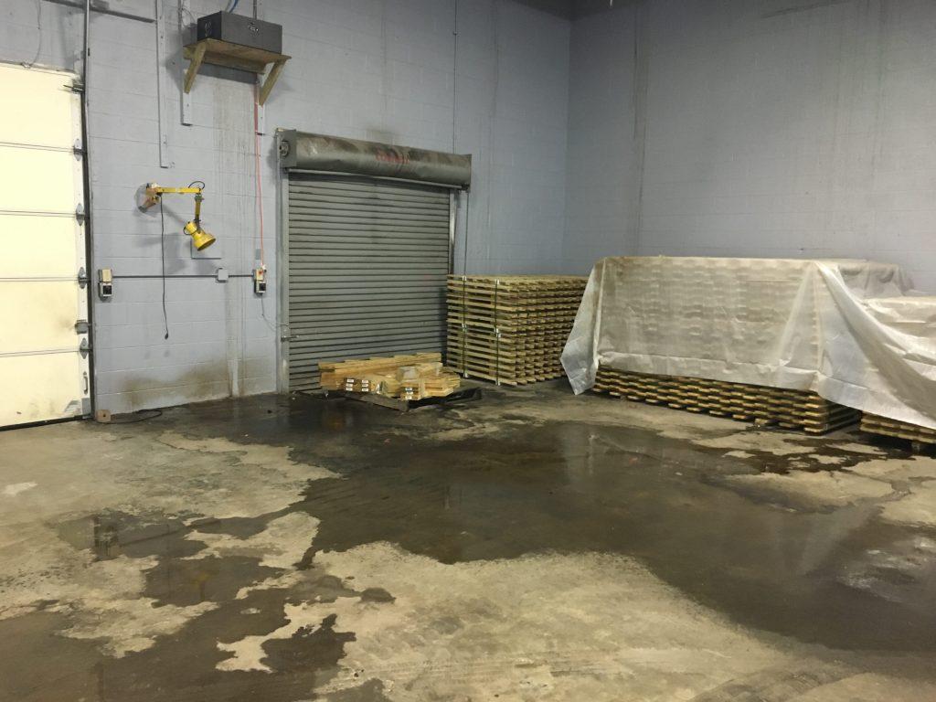 mseqyepanudw9danqxaxm81oy7jzraqxvptv9jjmyrhzjlsen8edjo3ihnpnpe0f71vdftnopucp ykegshri9lq17hjhs9 by lx fab3j2k3iaz3yggz qcf57ythub8fxqky6gck0nwcnvi4r ppcjtkxpumzjvz3v9r ayg